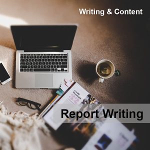 Jasa Report Writing