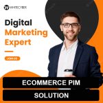 B2BPIM