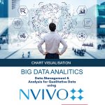 NVIVO-Chart